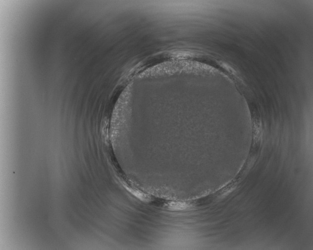 X0000080100766200612301918