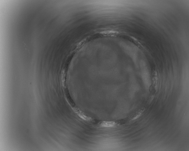 X0000080100767200612301918