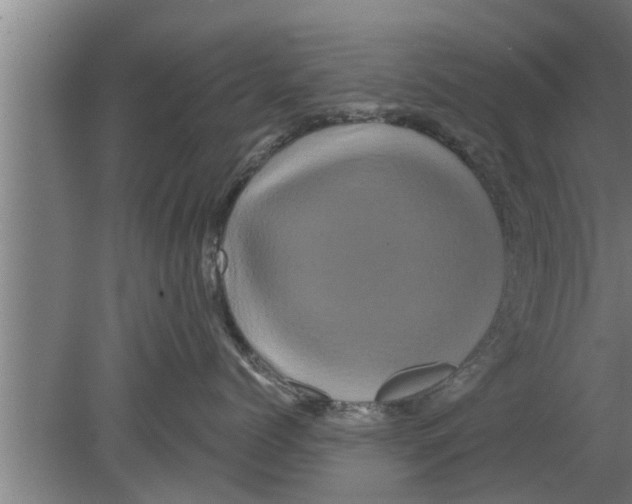 X0000080100768200612301918