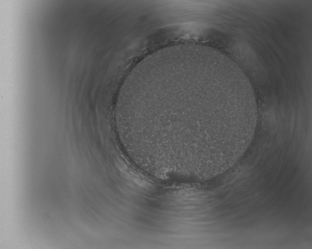 X0000080100769200612301917