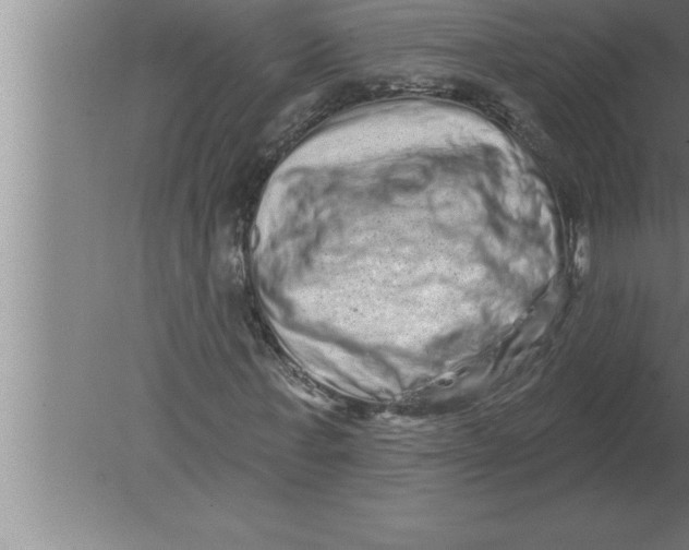 X0000080100771200612301917