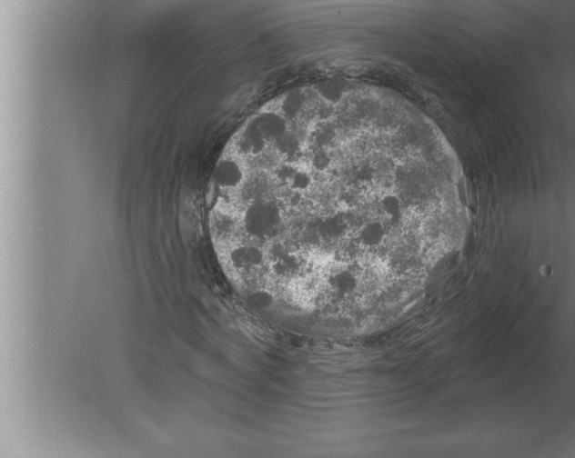 X0000080100772200612301917