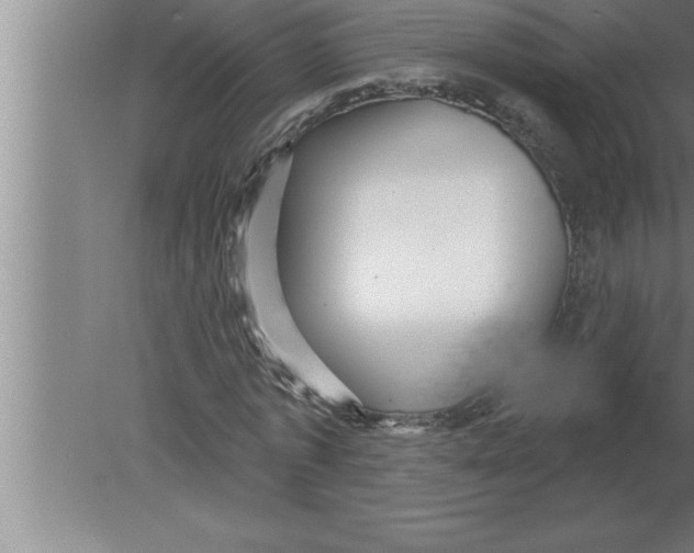 X0000080100773200612301917