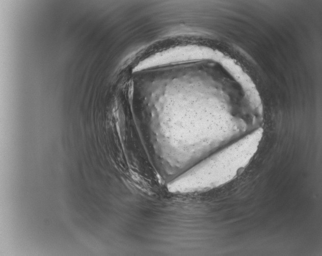 X0000080100775200612301917