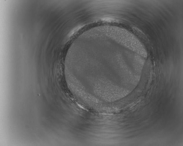 X0000080100776200612301917