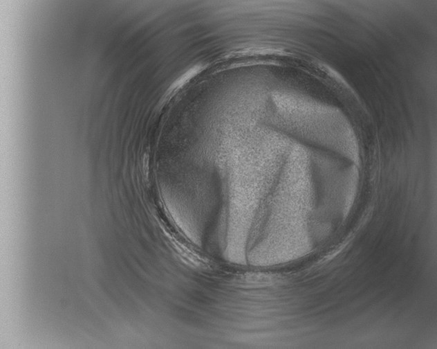 X0000080100777200612301917