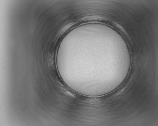 X0000080100778200612301917