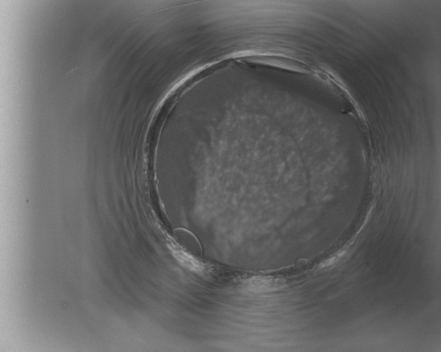 X0000080100779200612301917