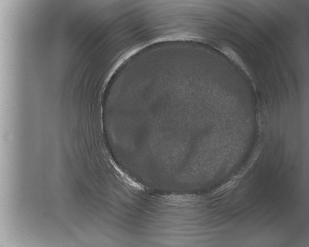 X0000080100781200612301917