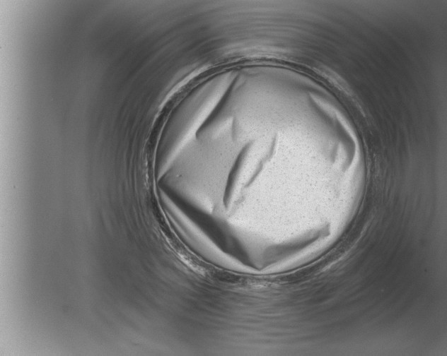 X0000080100782200612301917