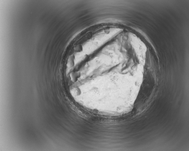 X0000080100783200612301917