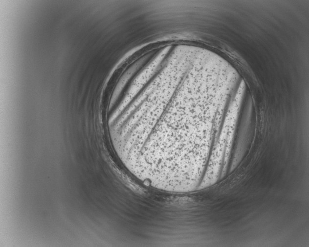 X0000080100784200612301917