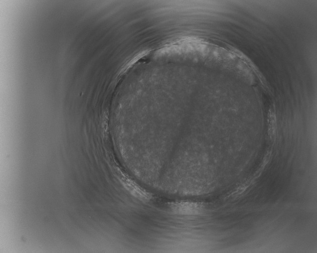 X0000080100785200612301917