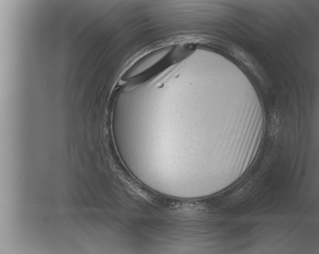 X0000080100786200612301917