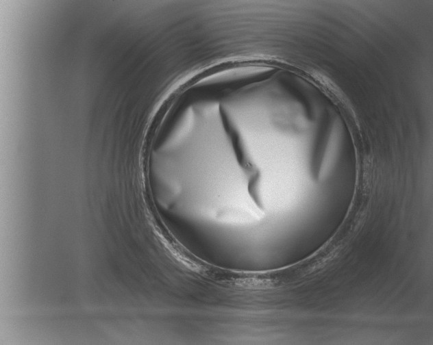 X0000080100789200612301917