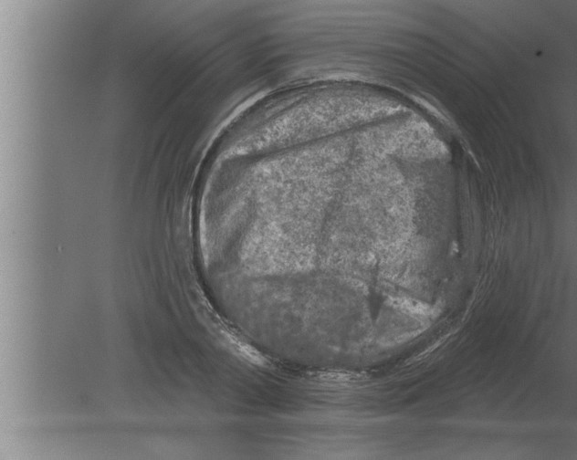 X0000080100790200612301917