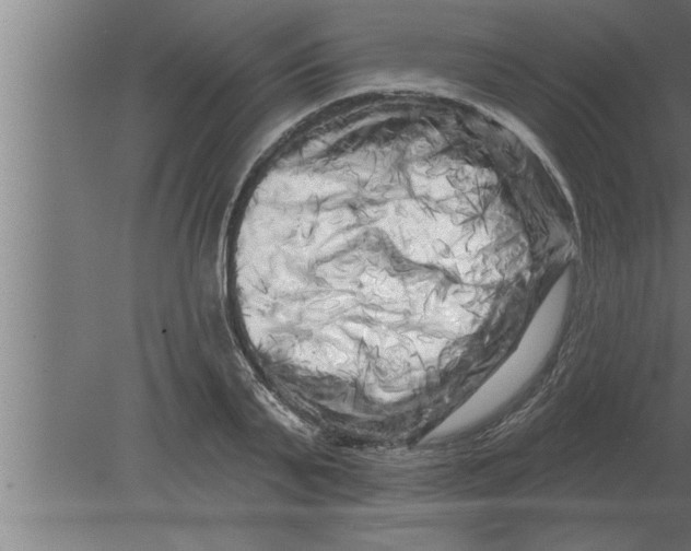 X0000080100791200612301916