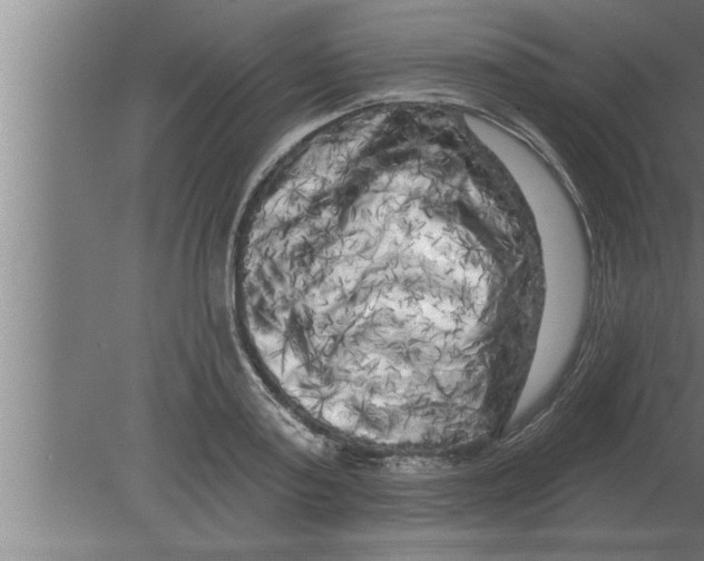 X0000080100795200612301916