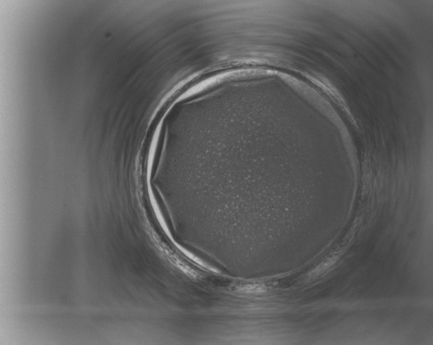 X0000080100798200612301916