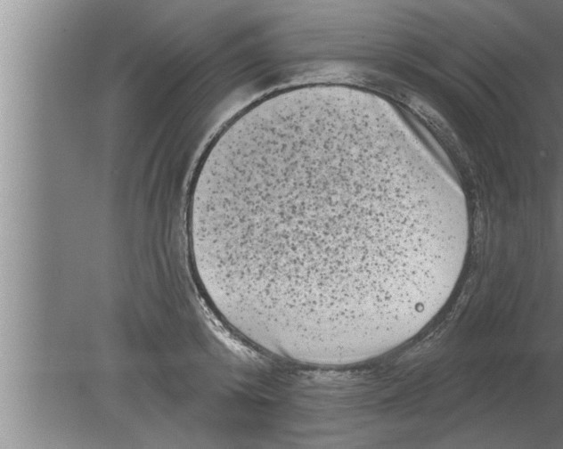 X0000080100800200612301916