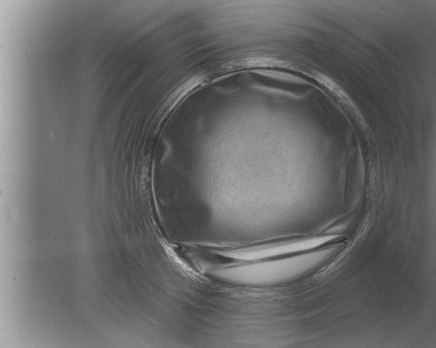 X0000080100801200612301916