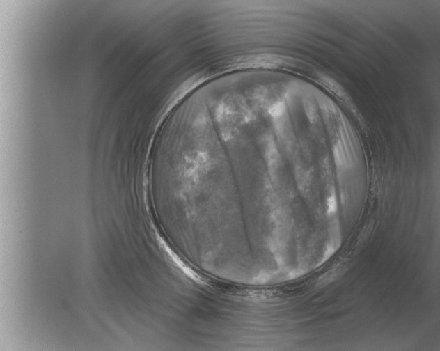 X0000080100802200612301916