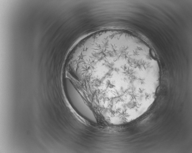 X0000080100803200612301916