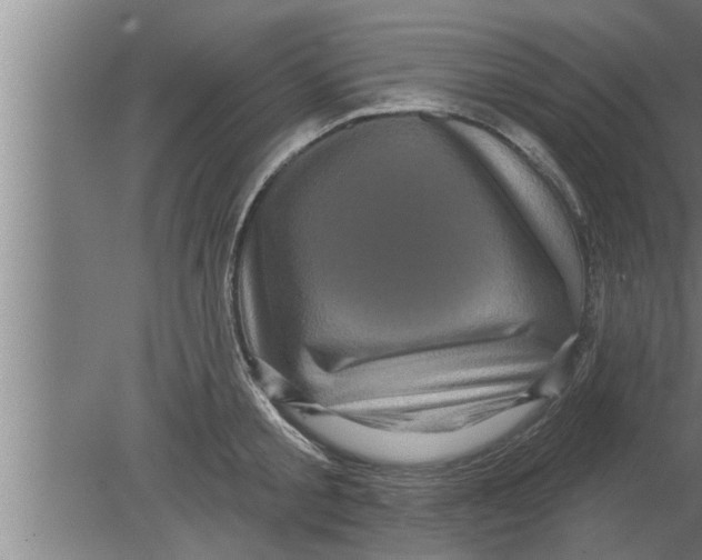 X0000080100805200612301916