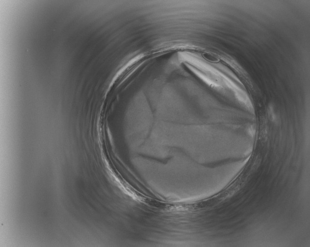 X0000080100806200612301916