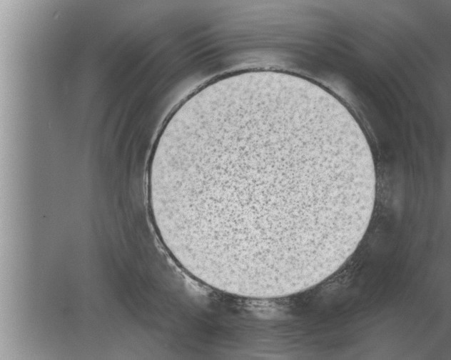 X0000080100807200612301916