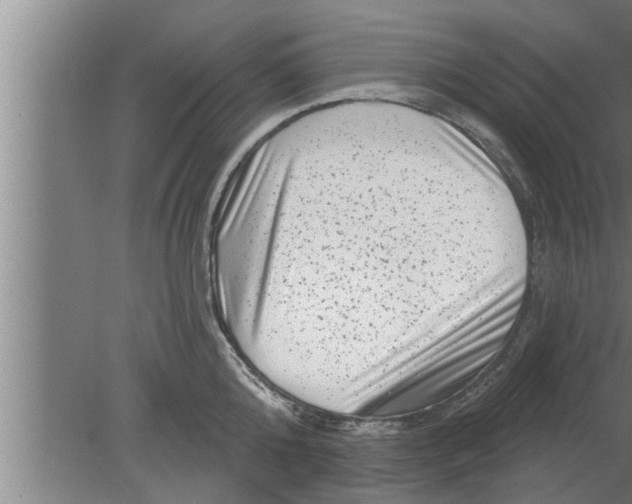 X0000080100808200612301916