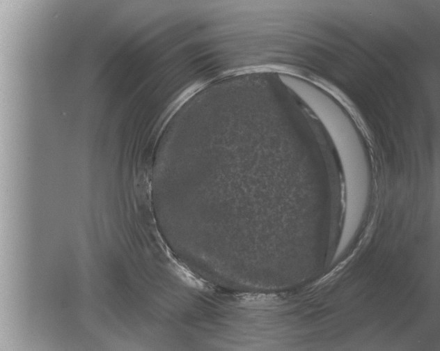 X0000080100809200612301916