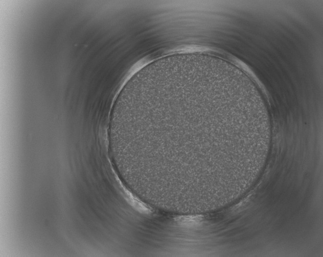 X0000080100810200612301916