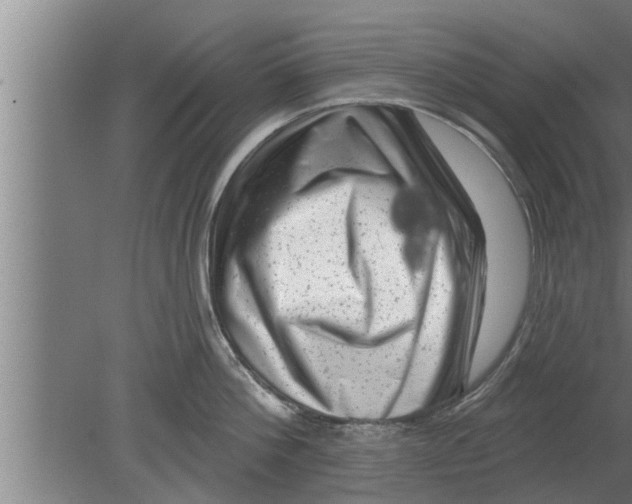 X0000080100812200612301916