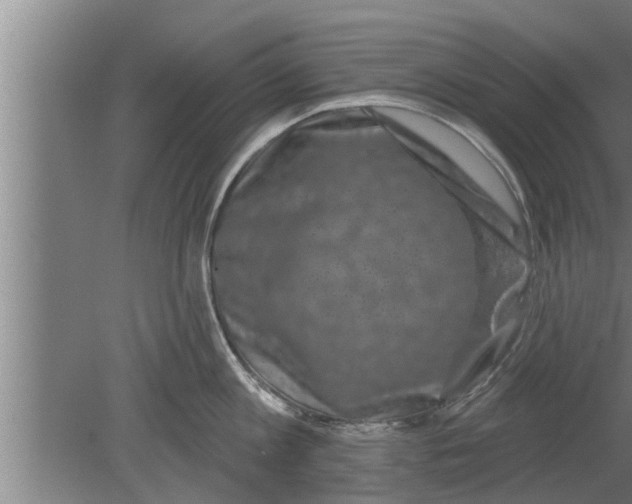 X0000080100813200612301916