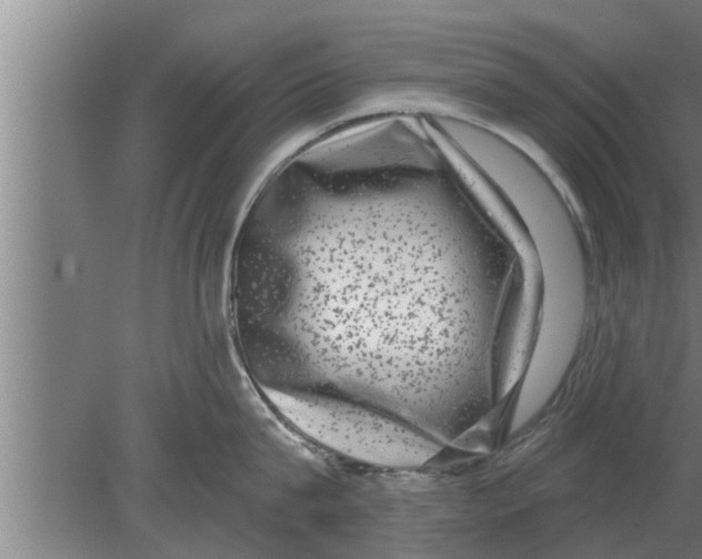 X0000080100815200612301916