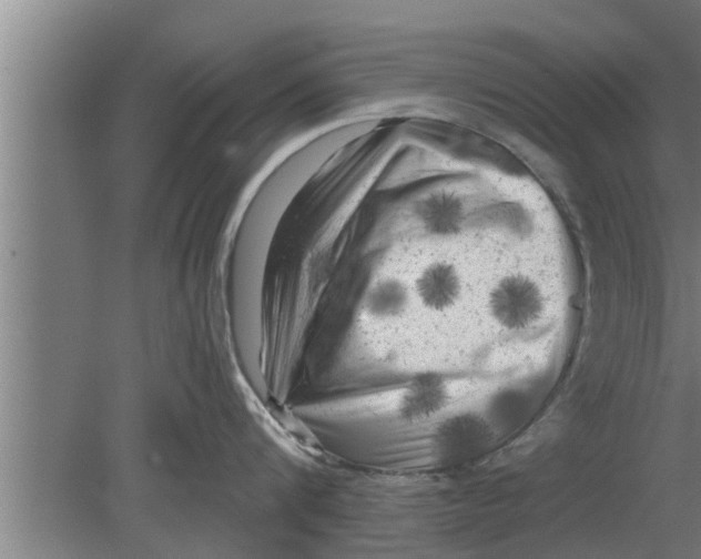 X0000080100816200612301916