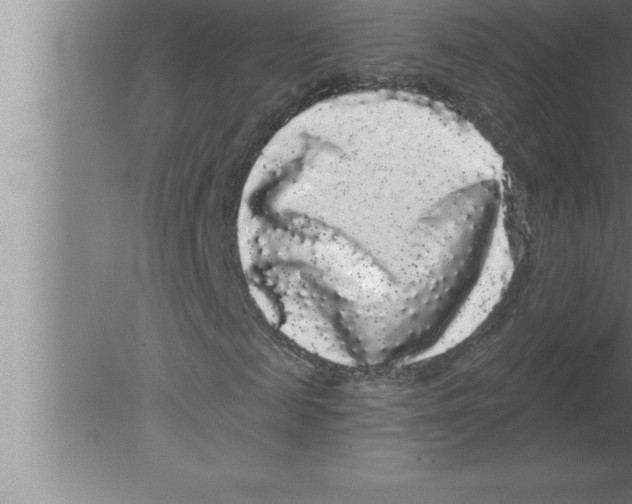 X0000080100817200612301915