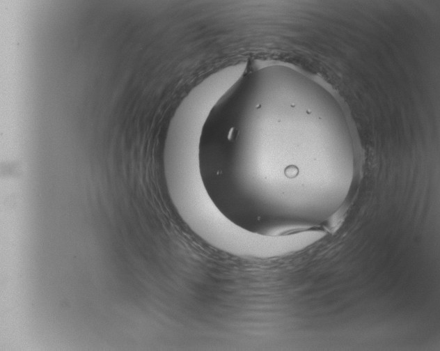 X0000080100818200612301915