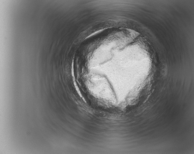 X0000080100819200612301915