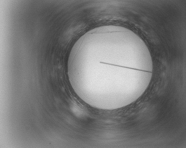 X0000080100820200612301915