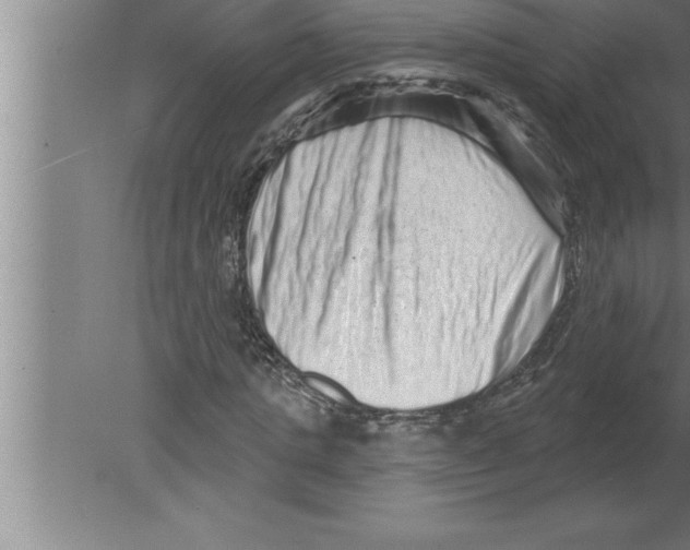 X0000080100821200612301915