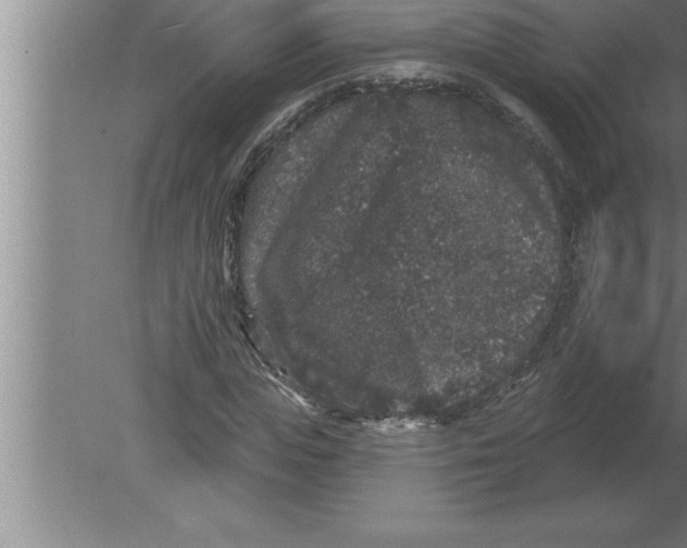 X0000080100823200612301915