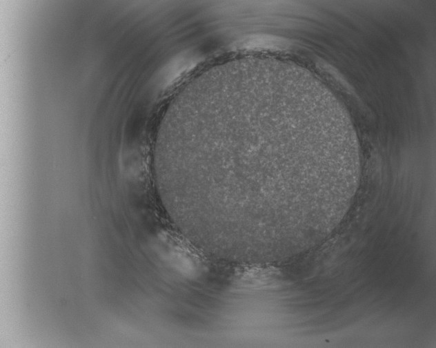 X0000080100824200612301915