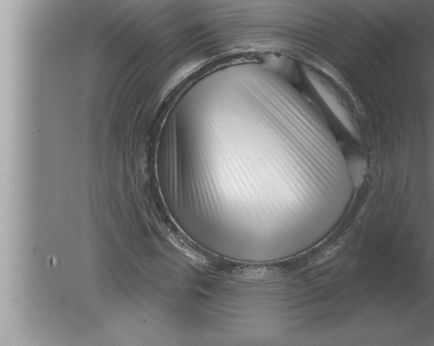 X0000080100826200612301915