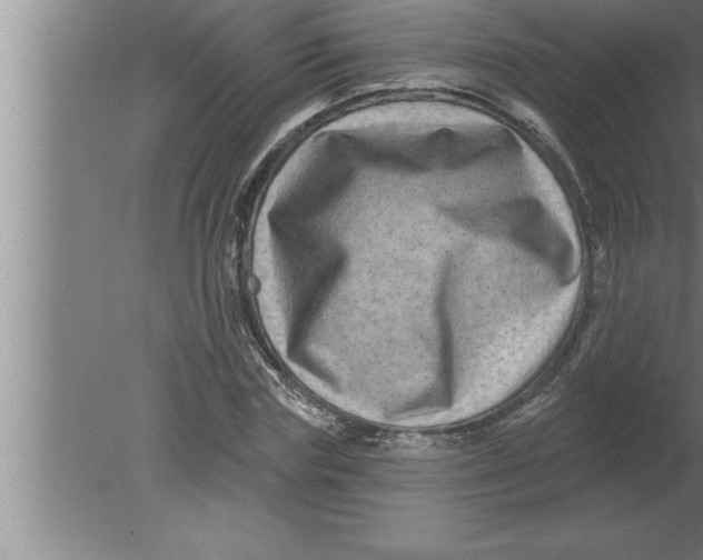 X0000080100827200612301915