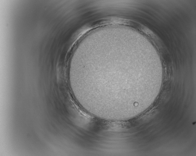 X0000080100828200612301915