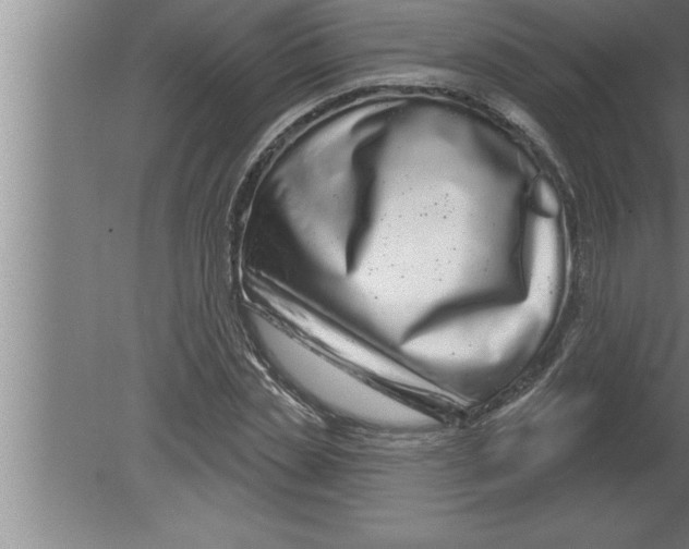 X0000080100829200612301915