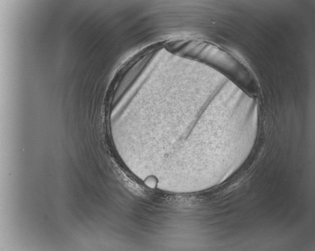 X0000080100831200612301915