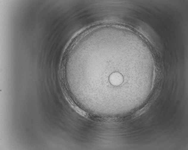 X0000080100832200612301916